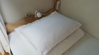 Hotel Happy Tree Guesthouse - Hostel Seul